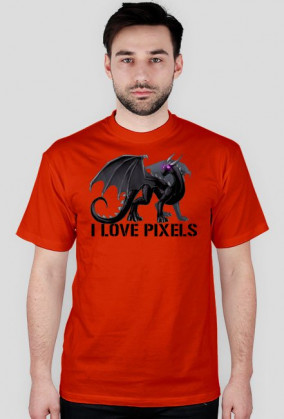 Minecrfat koszulka ender dragon
