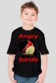 Angry birds