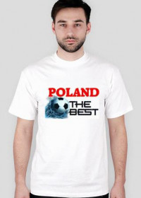 POLAND1-1 M