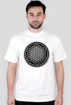 BMTH Sempiternal