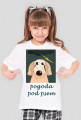 Pogoda pod psem