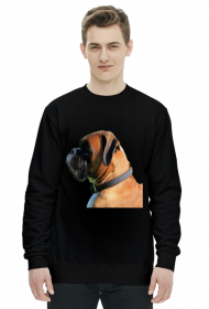 Bokser