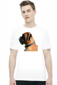 Bokser