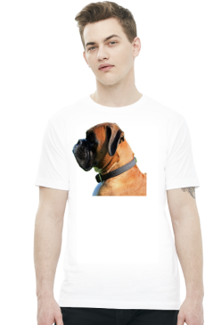 Bokser