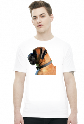 Bokser