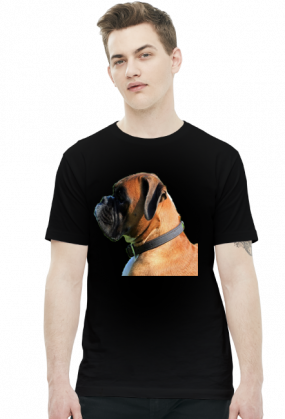 Bokser