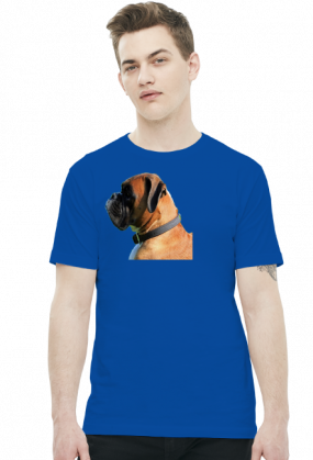 Bokser