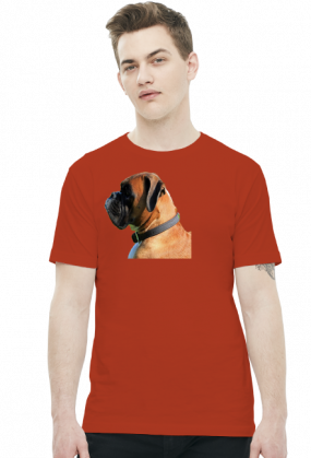 Bokser