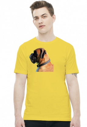 Bokser