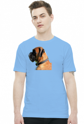 Bokser