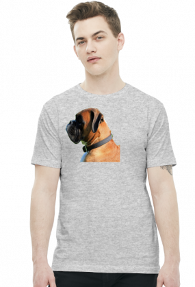 Bokser
