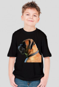 Bokser