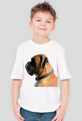 Bokser