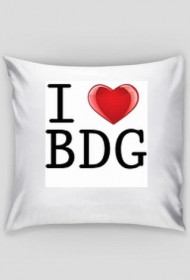 I love BDG