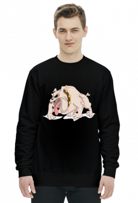 Animal