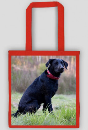 Labrador