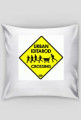 Urban Iditarod Crossing - Pillow VIP