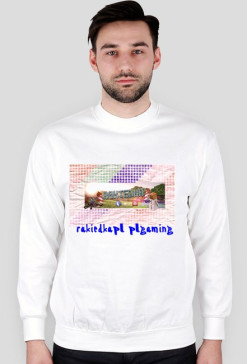bluza