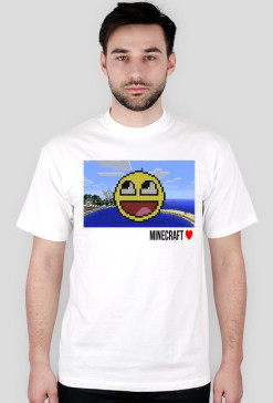 Minecraft / kolory