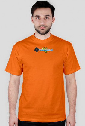 Koszulka z logo sieci
