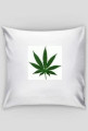 Ganja