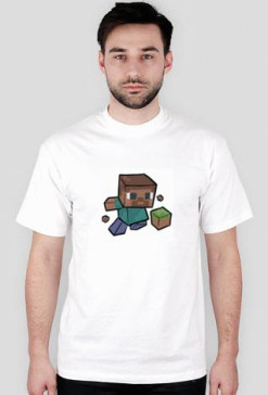 Minecraft Steve