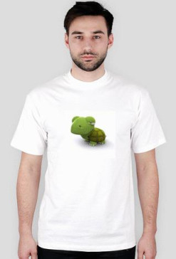 Żółw
