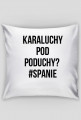 Poduszka - Karaluchy pod poduchy.