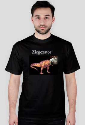 Ziegezator2