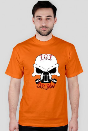 IgIDrawLogo