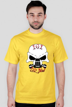 IgIDrawLogo