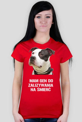 PitBull