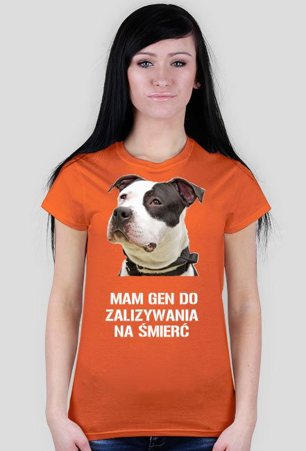 PitBull