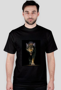 Wolf Limited