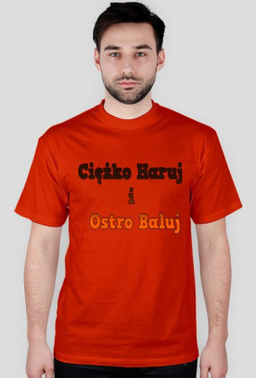 Ciężko haruj i ostro baluj