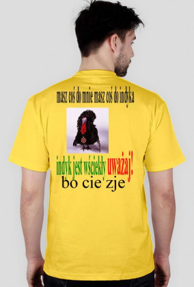 koszulka