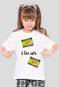 I like cats