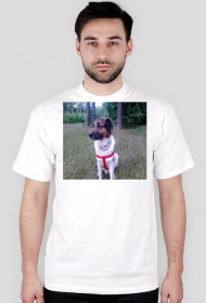 Kocham psy-koszulka
