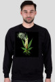 Marijuana