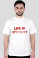 Life is mystery