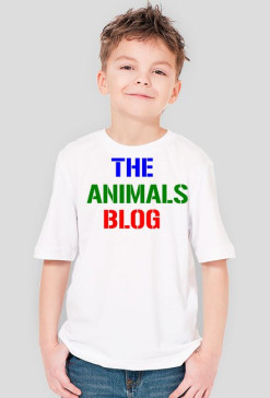 Biała- The animals blog (Dziecięca)