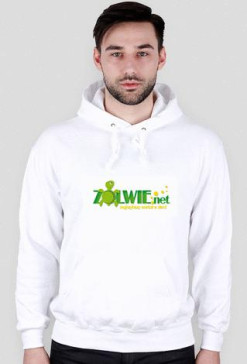 Bluza