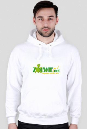 Bluza