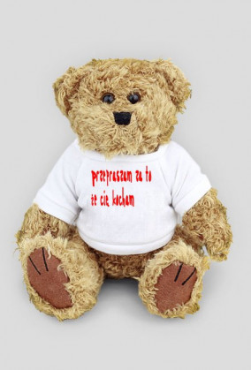 Przepraszam za to że cię kocham