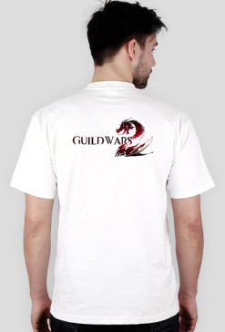 Guild Wars 2 - Destiny's Edge