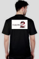 Guild Wars 2 - Destiny's Edge