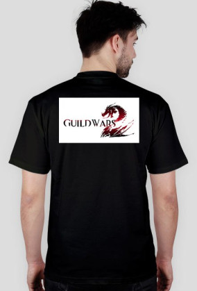 Guild Wars 2 - Destiny's Edge