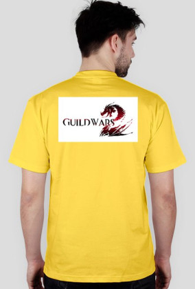 Guild Wars 2 - Destiny's Edge