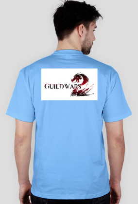 Guild Wars 2 - Destiny's Edge