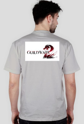 Guild Wars 2 - Destiny's Edge